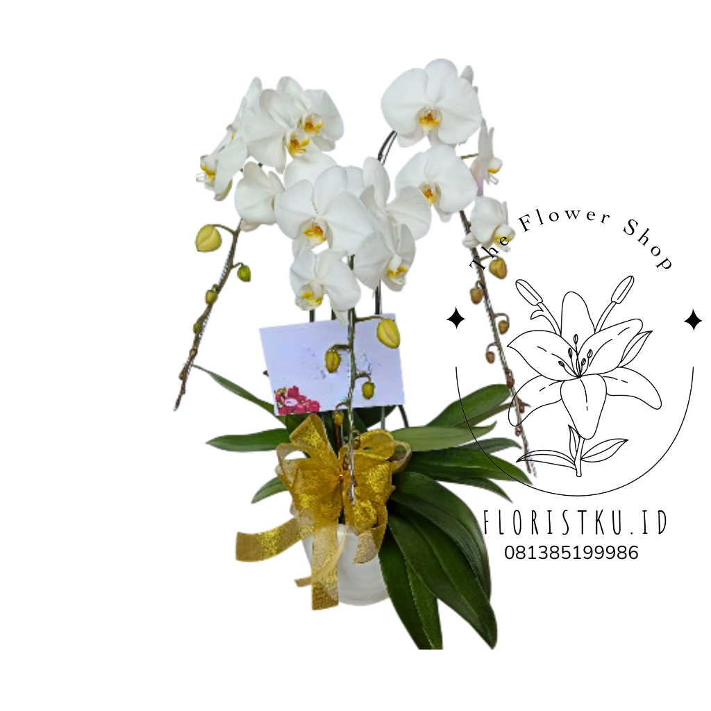 BUNGA MEJA - BM LEMBANG - 1