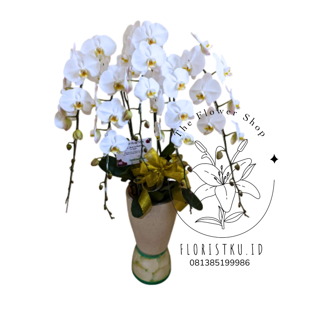 BUNGA MEJA - BM LEMBANG - 2