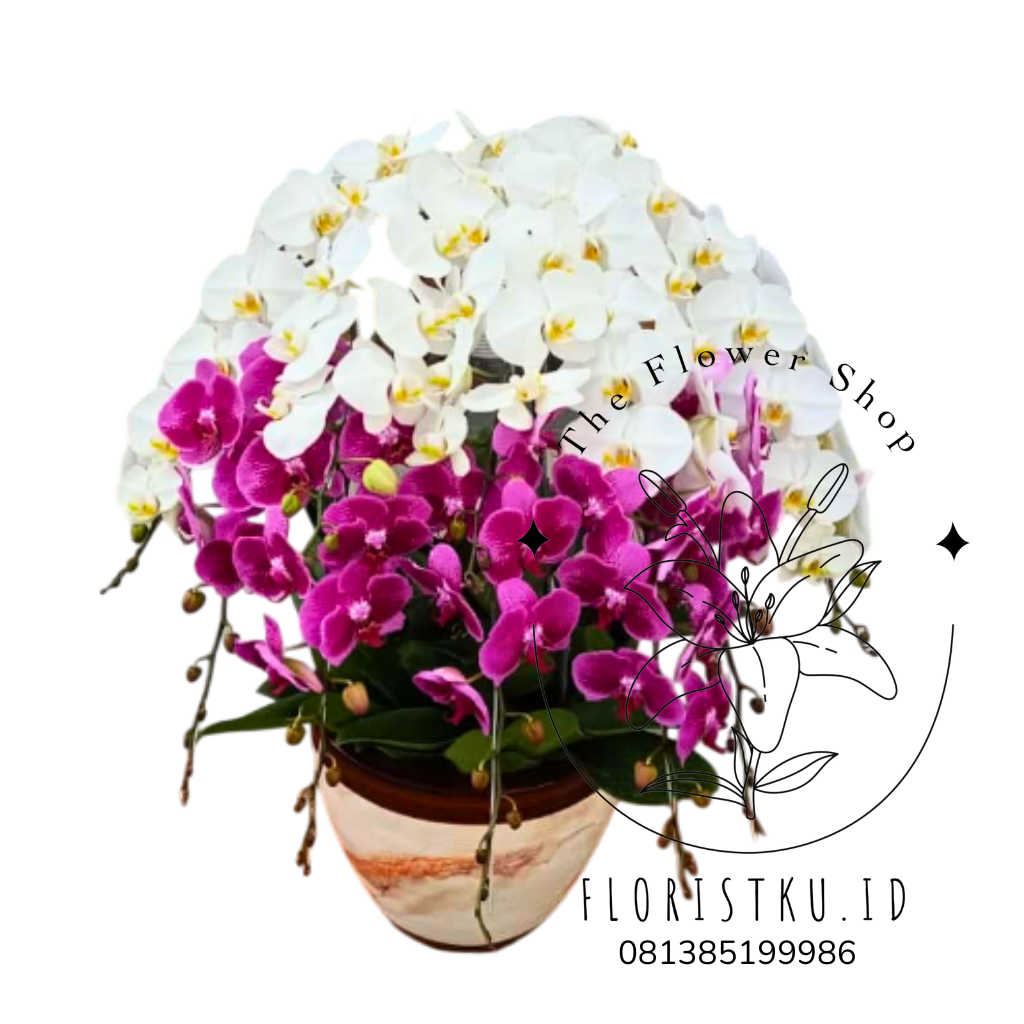 BUNGA MEJA - BM LEMBANG - 4